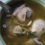 อึ่งอ่างต้ม