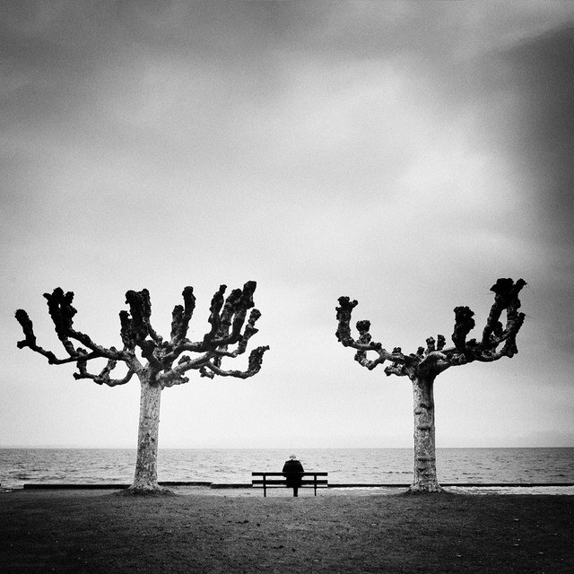 Trees - Minimalism in Street Photography