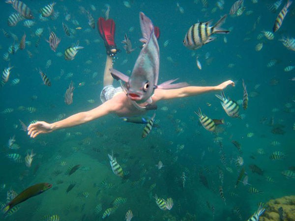 14-underwater-fish-photobom