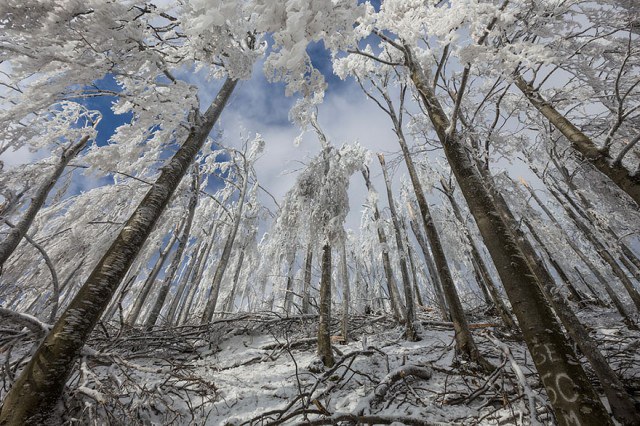 mount-javornik-slovenia-winter-photography-marko-korosec-8