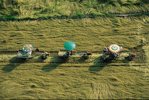 รูปภาพ วิวมุมสูงเมืองไทย สวยแปลกตา งดงามแบบไทยๆ