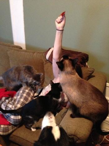 คลิกชมภาพต่อไป คลิกชมภาพต่อไป