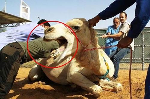 คลิกชมภาพต่อไป คลิกชมภาพต่อไป