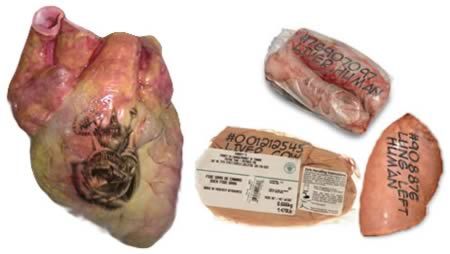 10 สุดยอดรอยสักสุดแปลก