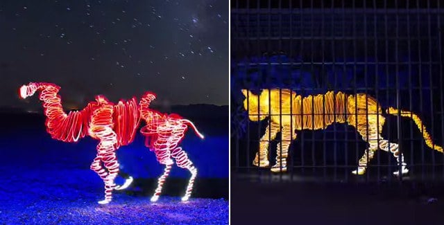 สวยงาม!! อนิเมชันจากภาพถ่ายแสงไฟ “Light Painting” 1,000 ภาพ