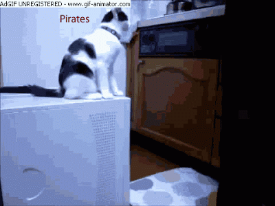 รูปตลกๆ28