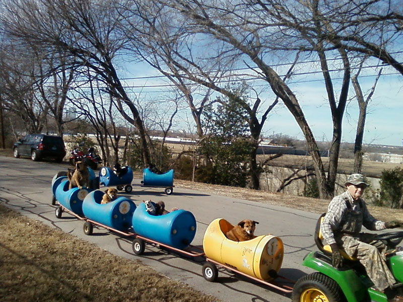 รูปตลกๆ