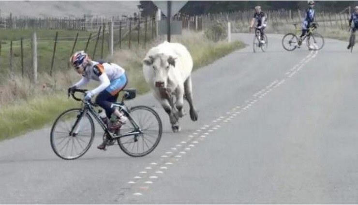 รูปตลกๆ2