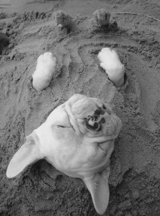 รูปตลกๆ3