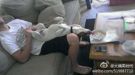 รูปตลกๆ11