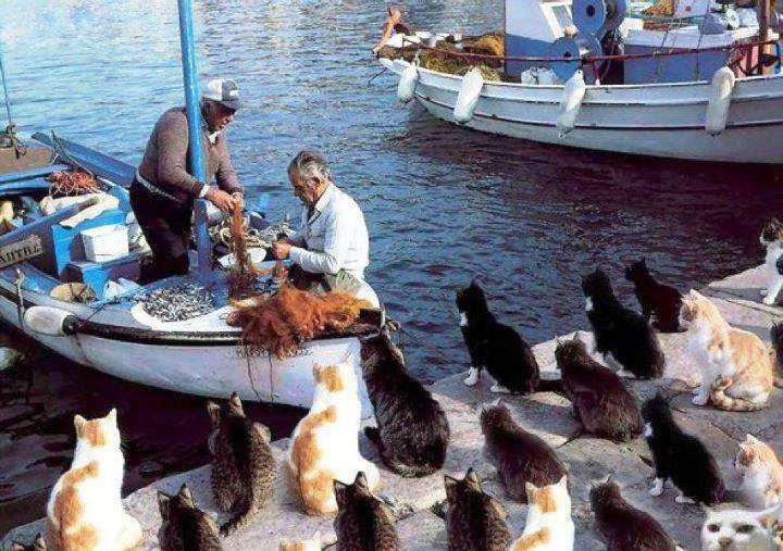 รูปตลกๆ15