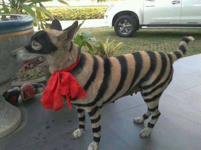 รูปตลกๆ16