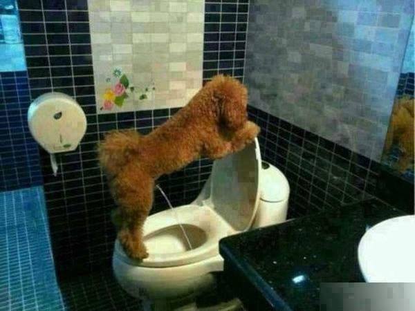 รูปตลกๆ17