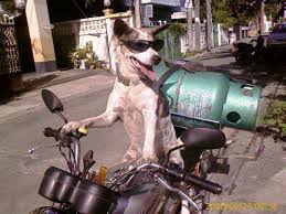 รูปตลกๆ21