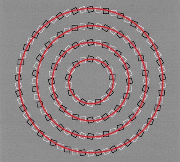 Round-circles-Optical-illusion-620x