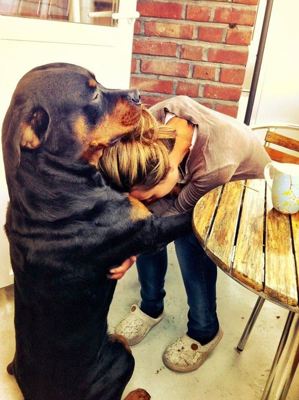 cute-dogs-hugging-humans-4