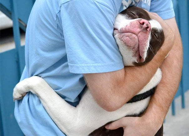 cute-dogs-hugging-humans-102