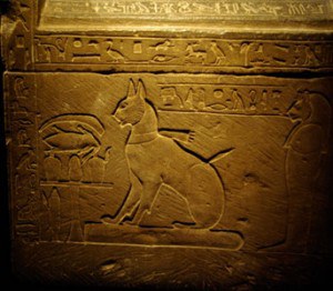 Prince-Thutmose-cat