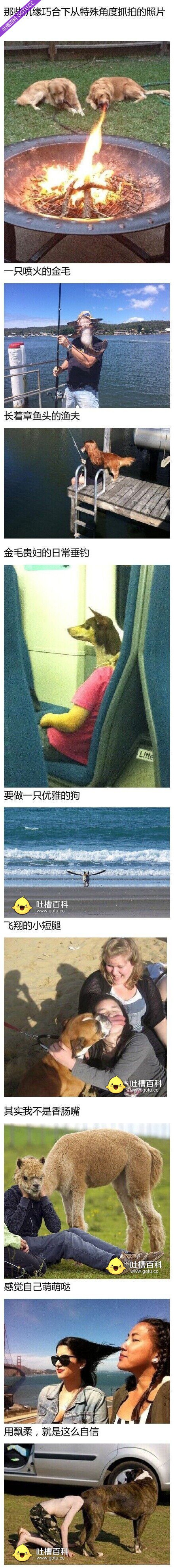 机缘巧合下特殊角度抓拍的奇异照片大全