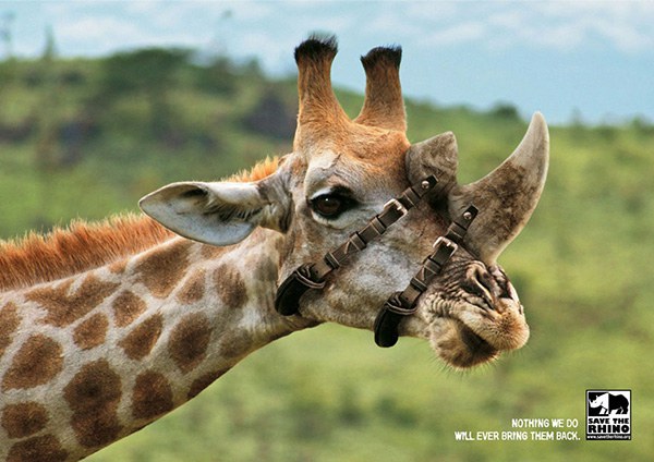 สะท้อนสังคม