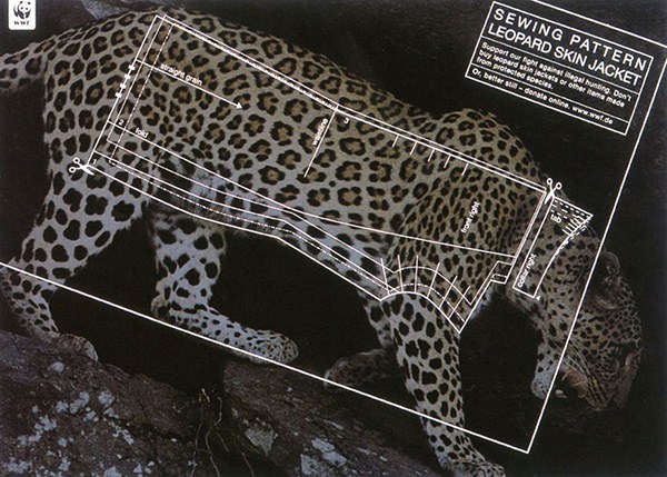 สะท้อนสังคม