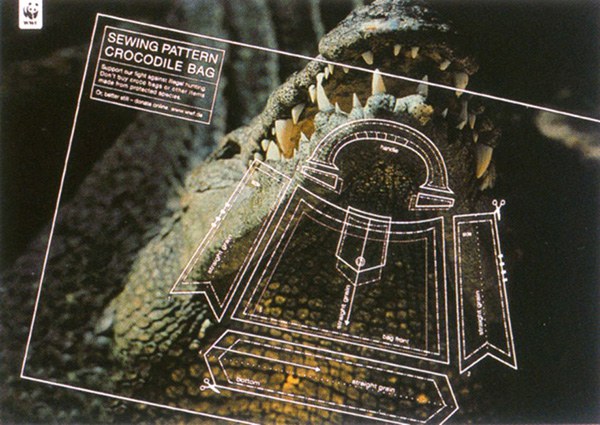 สะท้อนสังคม