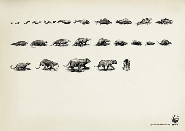 สะท้อนสังคม