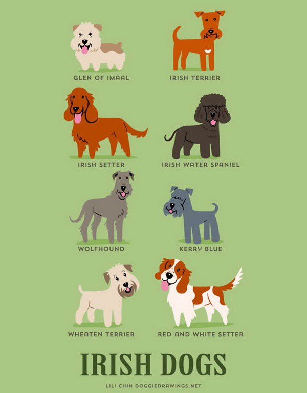 สงสัยกันมั้ย!? สุนัขกว่า 200 สายพันธุ์รอบโลก มีความแตกต่างกันอย่างไร?