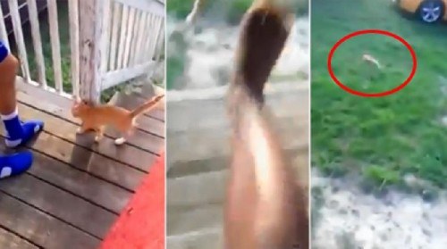 14273432261427351335l