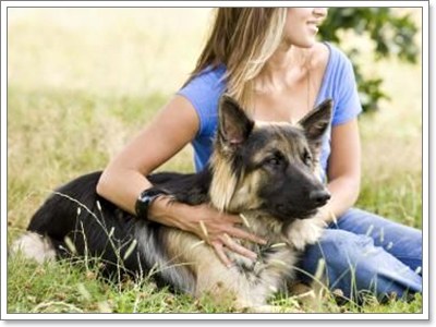 Dogilike.com :: เชื่อหรือไม่ว่า สุนัข สามารถเตือนภัยธรรมชาติได้