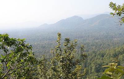 เขตรักษาพันธุ์สัตว์ป่าทุ่งใหญ่นเรศวร