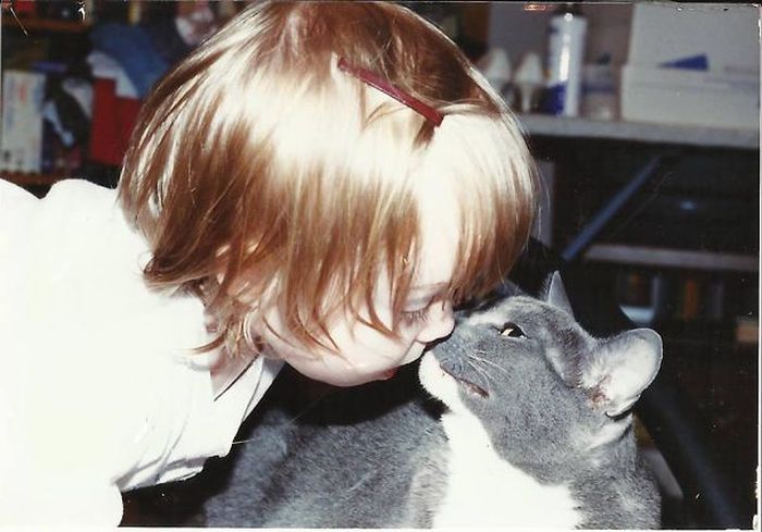 Adorable Photos That Prove Every House Needs A Cat (40 pics)