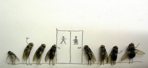 Art-Dead-Flies-04