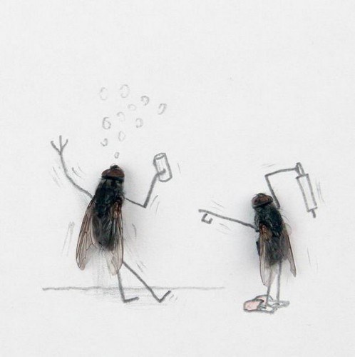 Art-Dead-Flies-08