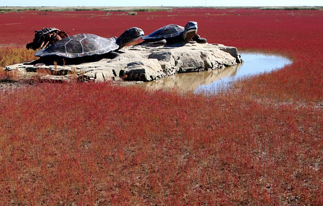 25 ภาพสถานที่สุดเจ๋ง ที่คุณไม่อยากจะเชื่อว่ามีอยู่จริง