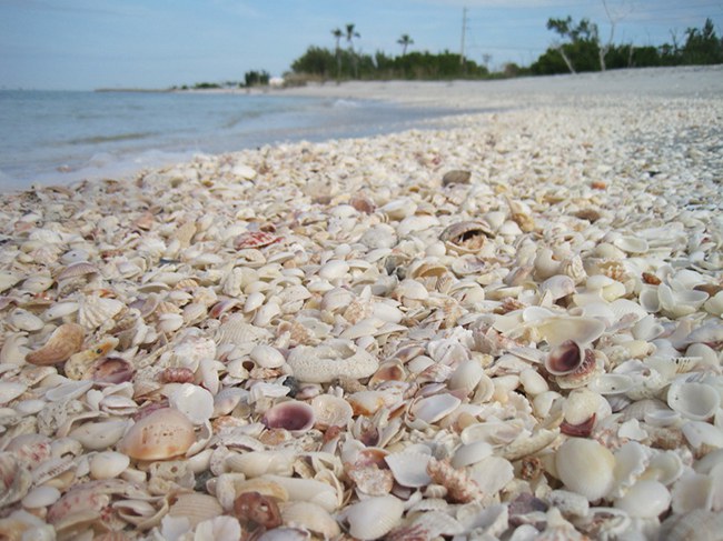 25 ภาพสถานที่สุดเจ๋ง ที่คุณไม่อยากจะเชื่อว่ามีอยู่จริง