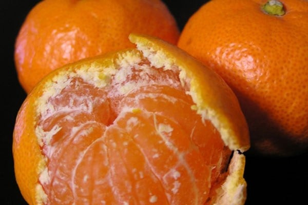 ผลไม้ที่ควรกินในฤดูร้อน ผลไม้ที่ควรกินในฤดูร้อน