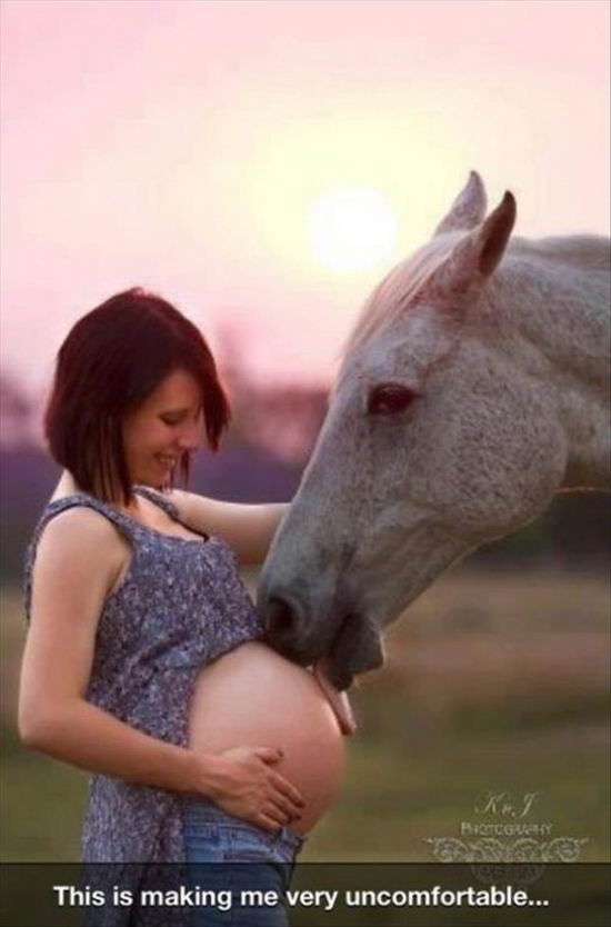 awkward-pregnancy-portraits-18