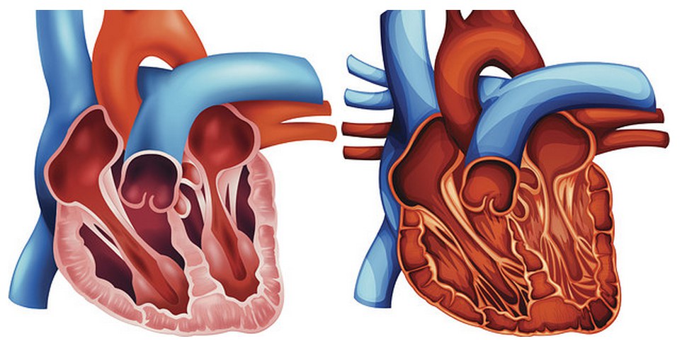 Screen-Shot-2558-04-09-at-1.40.14-PM