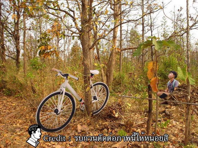 Photoshop-Picture-14