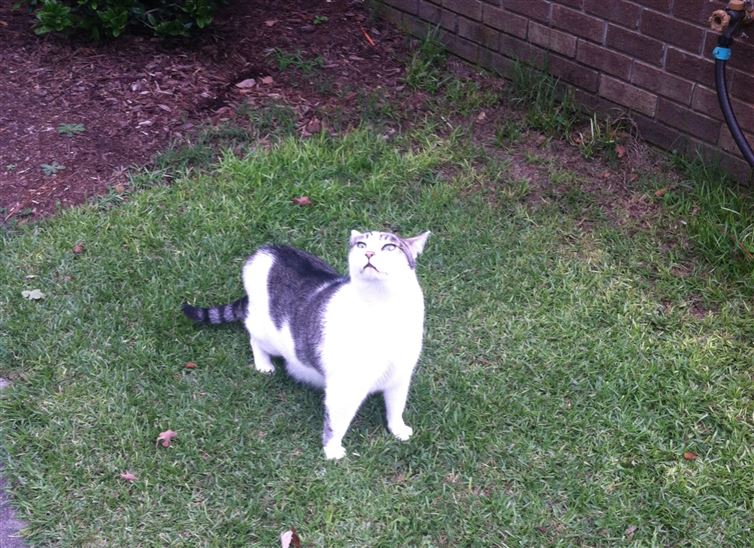 78504382-cb08-470f-b62e-dd45eb7242df