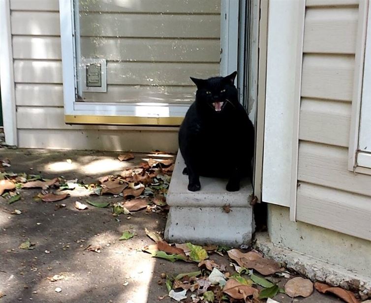 ccda8c83-53eb-4465-94a1-327db822e512