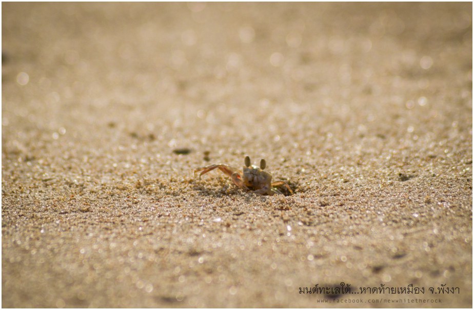 [CR]รีวิว มนต์ทะเลใต้...หาดท้ายเหมือง จ.พังงา