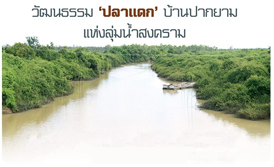  วัฒนธรรม &lsquo;ปลาแดก&rsquo; บ้านปากยาม แห่งลุ่มน้ำสงคราม