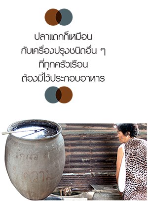  วัฒนธรรม &lsquo;ปลาแดก&rsquo; บ้านปากยาม แห่งลุ่มน้ำสงคราม