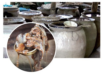  วัฒนธรรม &lsquo;ปลาแดก&rsquo; บ้านปากยาม แห่งลุ่มน้ำสงคราม