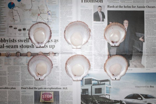 68a320f20b90e321d772af8a0567d877_970x