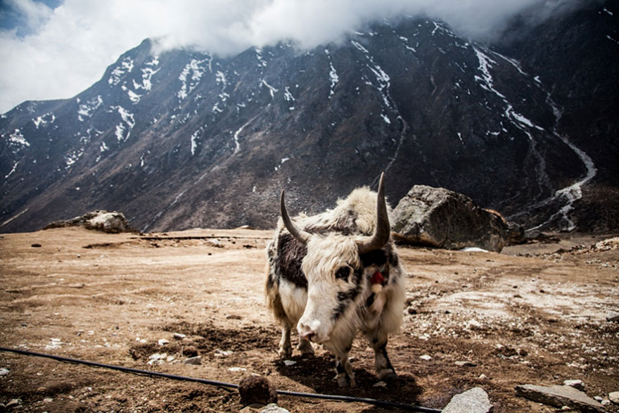 hiking-travel-photography-berta-tilmantaite-himalayas-5