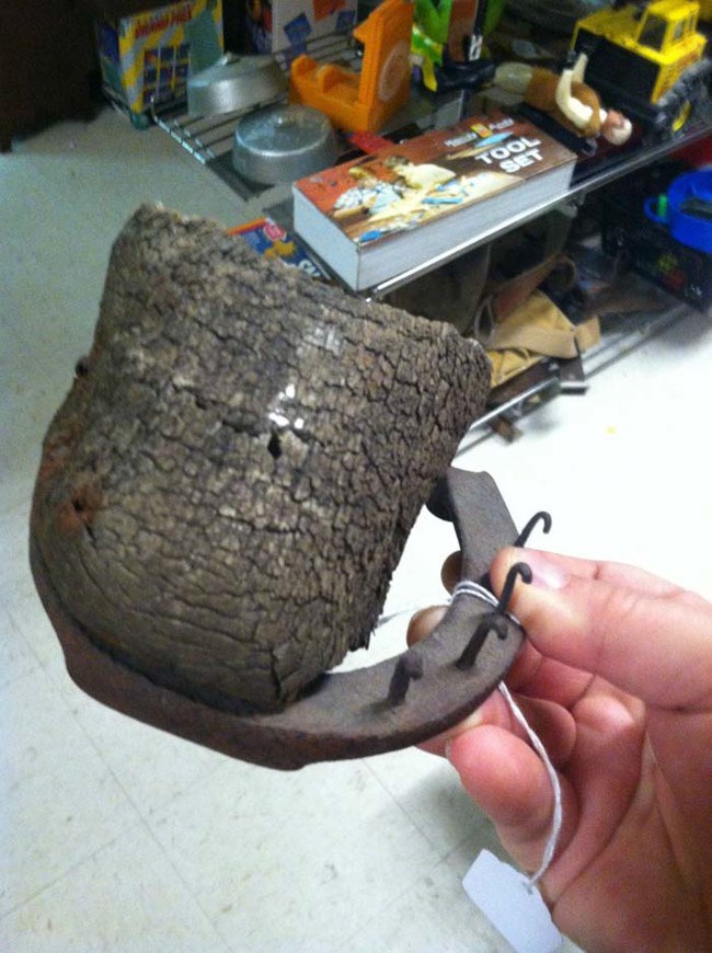 เกือกม้ากับม้าบางส่วนยังคงติดอยู่กับมัน