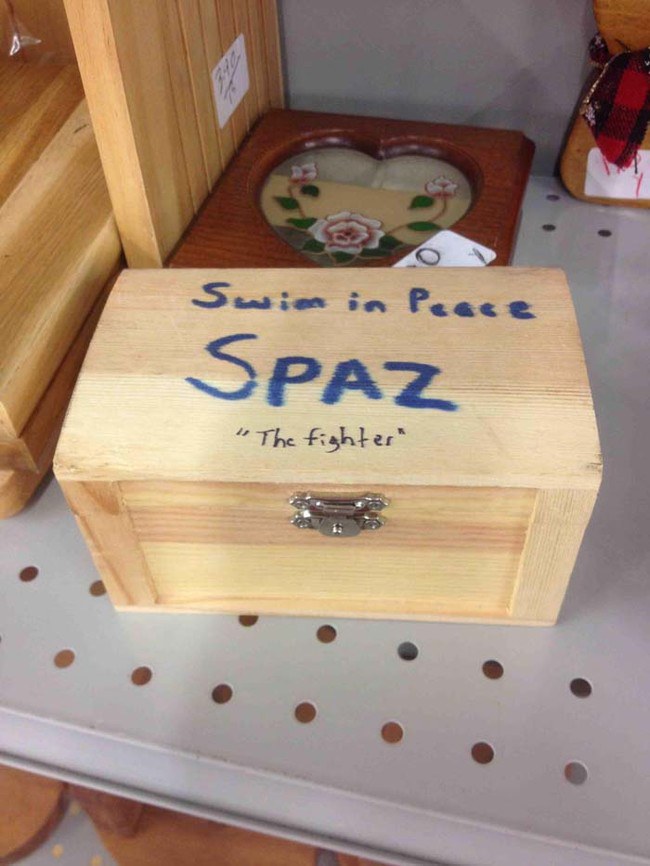 โลงศพเก่าของครอบครัว ...